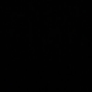 Meet your Posher, Delphine